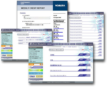 Credit Report Details